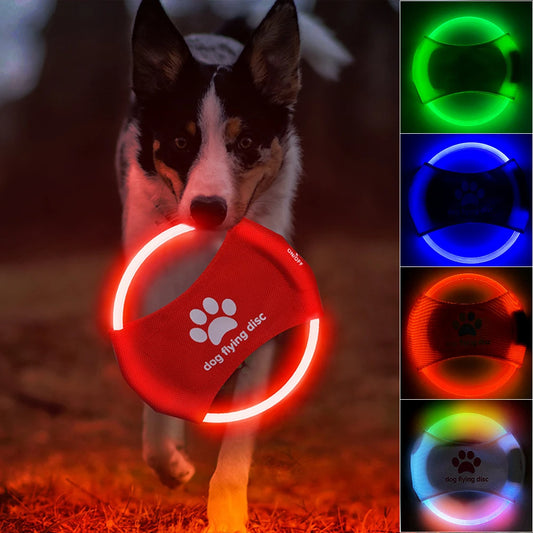 Tails Choice | Dog Flying Discs