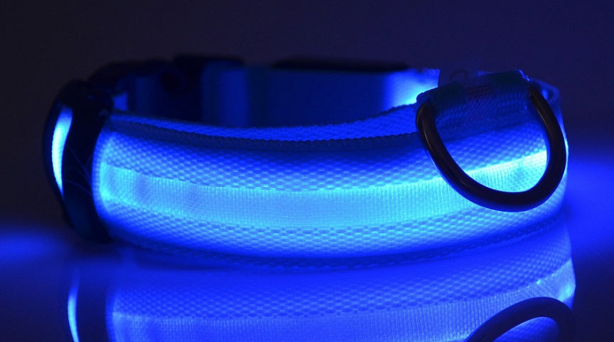 Tails Choice | LED Luminous Collar