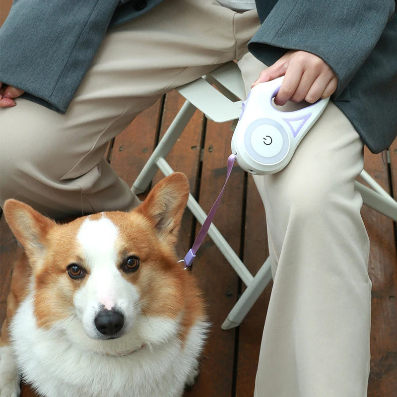 Tails Choice │Light Retractable Leash