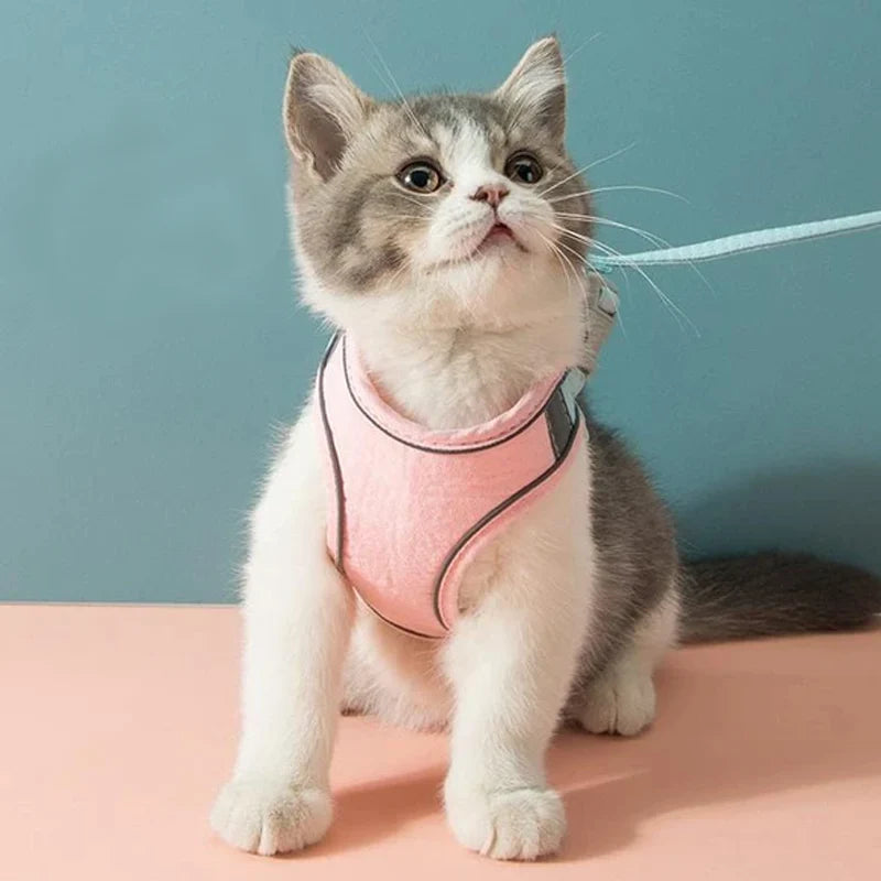 Tails Choice | Cat Vest Harness Leash Set