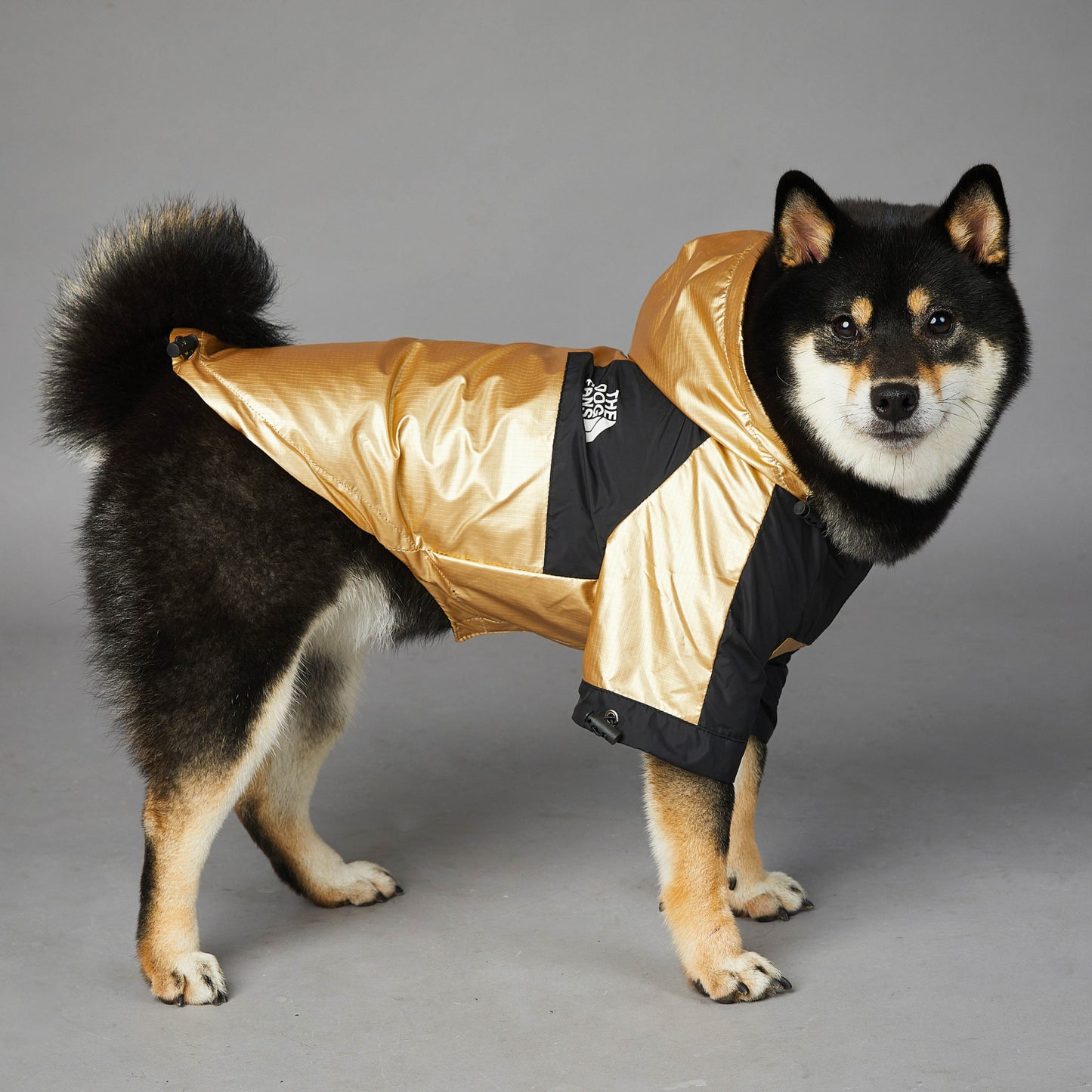 Tails Choice | Raincoat Jacket