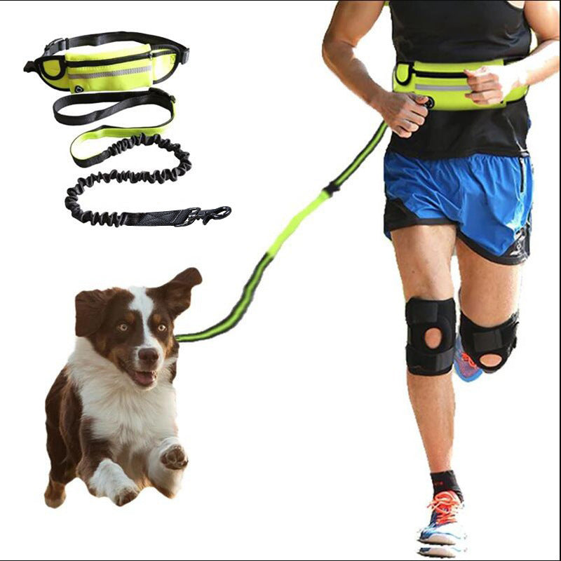 Tails Choice │Hands Free Dog Leash