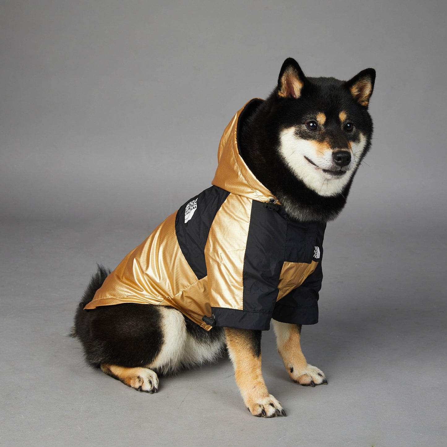 Tails Choice | Raincoat Jacket