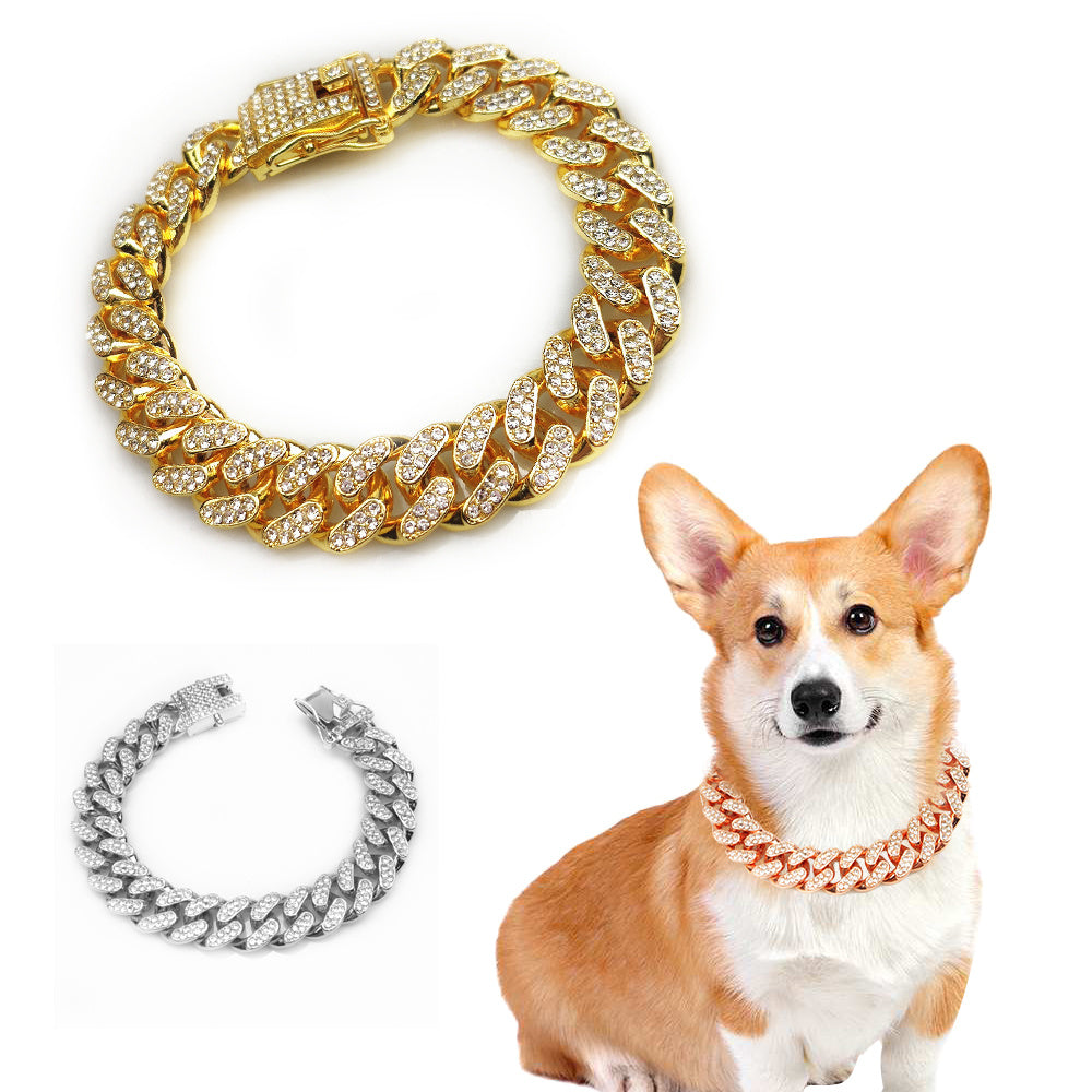 Tails Choice | Hip Hop Collar