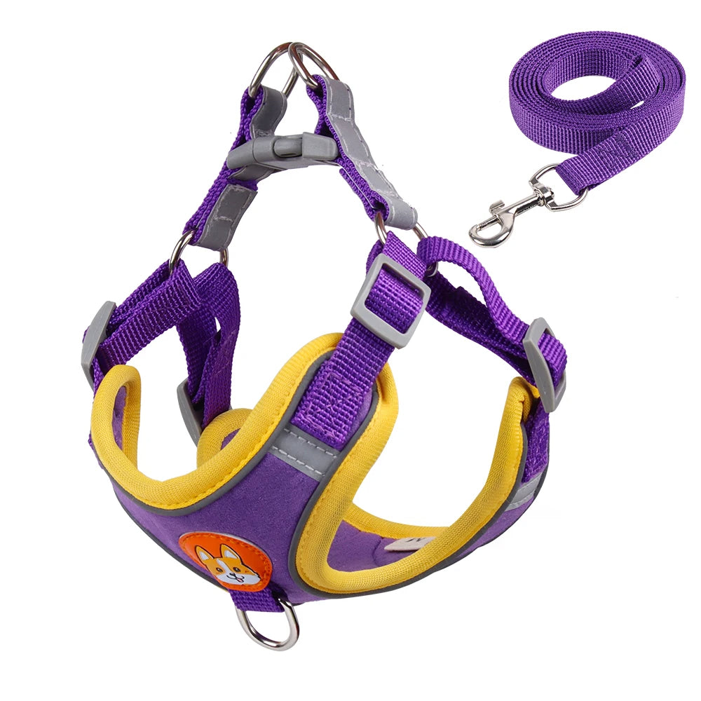 Tails Choice | Cat Harness And Leash Set