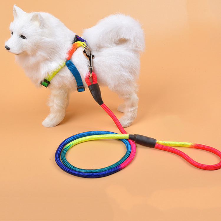 Tails Choice│Nylon Leash