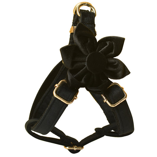 Tails Choice | Black Flannel Gold Buckle Harness