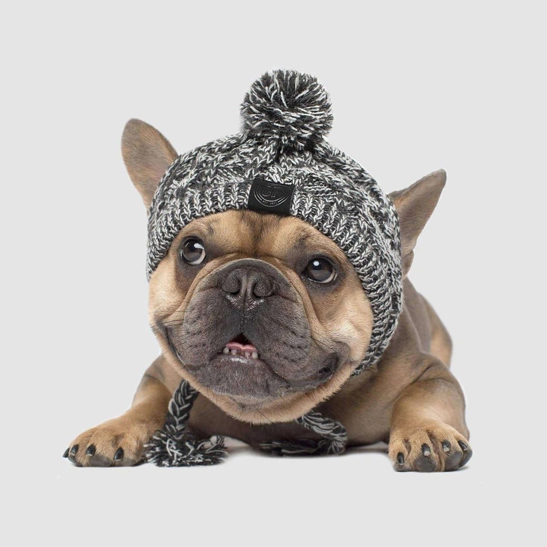 Tails Choice | Windproof Fluffy Knitted Hat