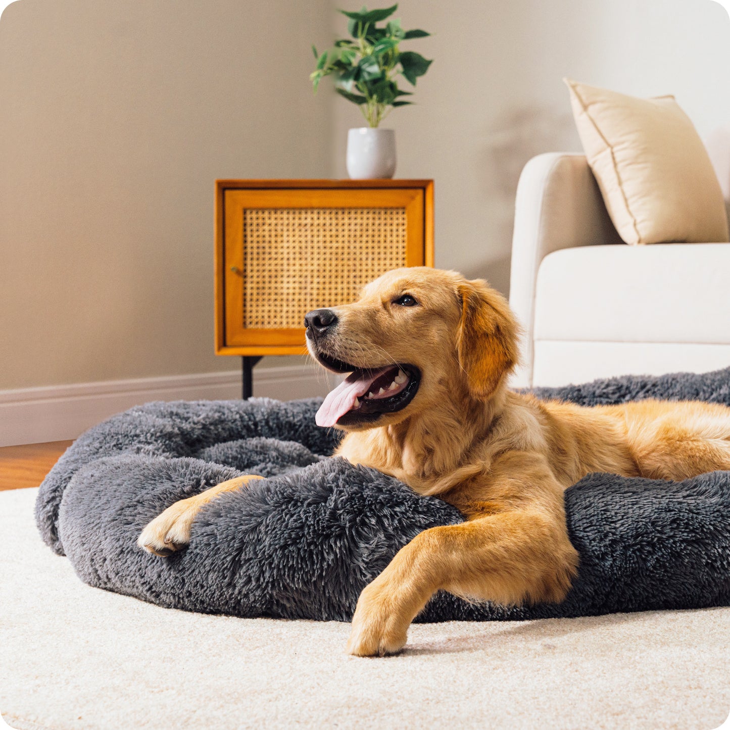 Tails Choice | Fluffy Dog Bed