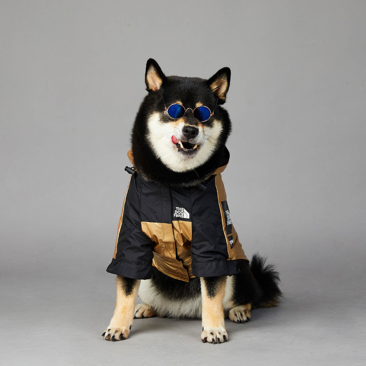 Tails Choice | Raincoat Jacket