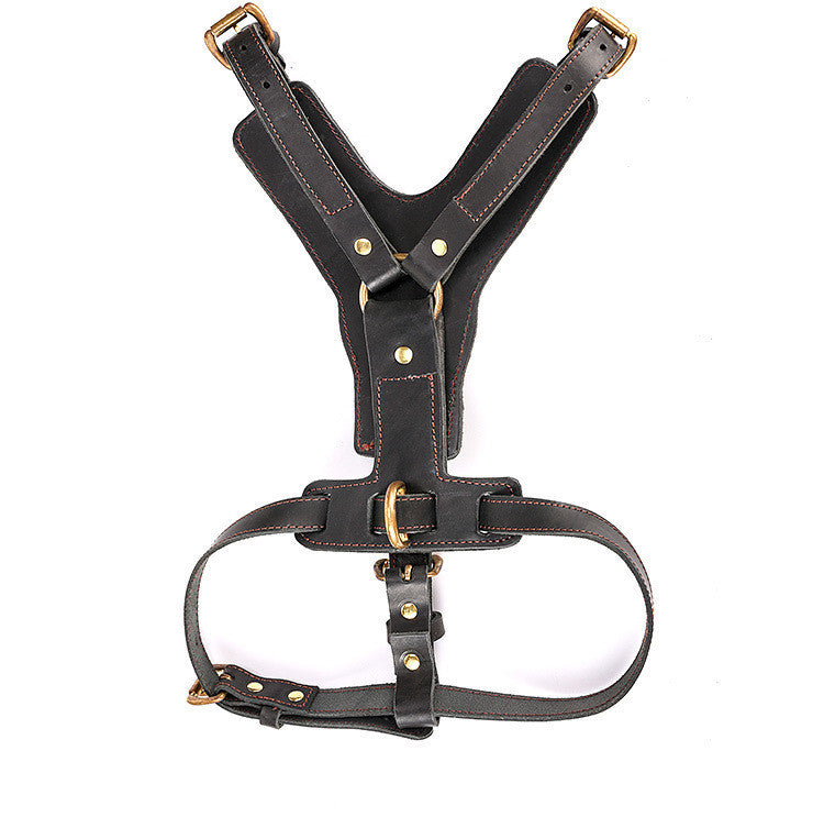 Tails Choice | Chest Back Dog Automatic Traction Rope