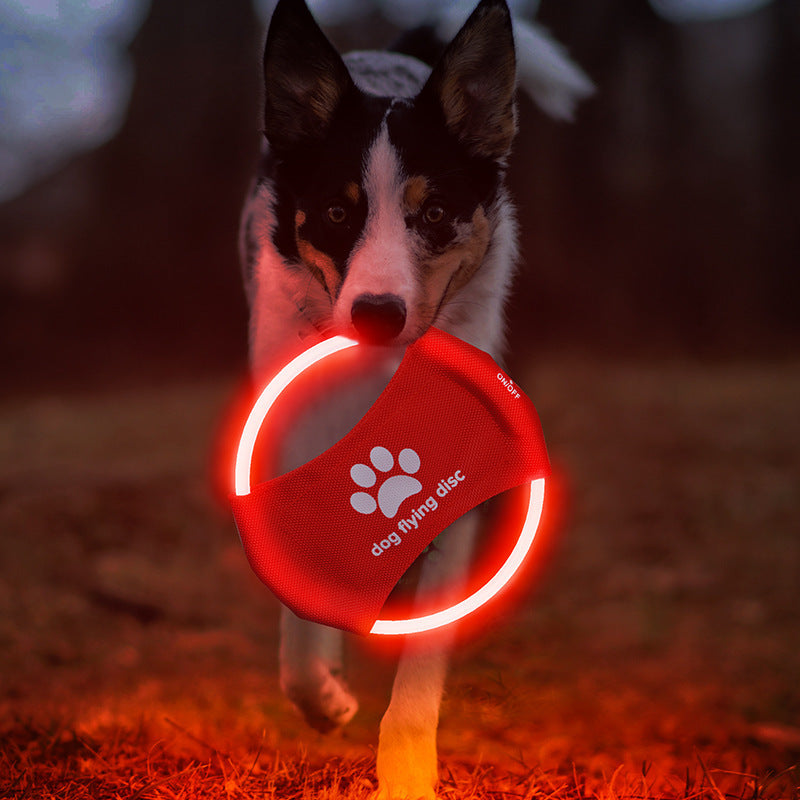 Tails Choice | Dog Flying Discs