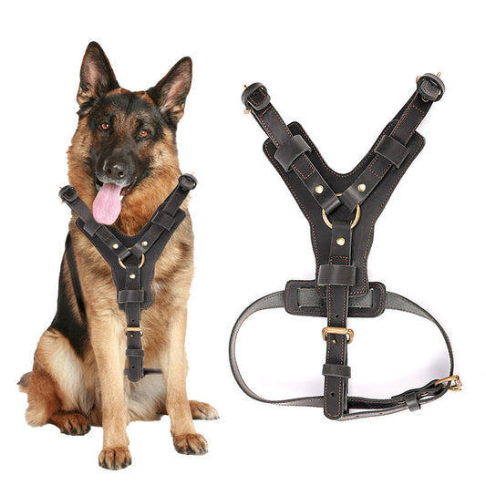 Tails Choice | Chest Back Dog Automatic Traction Rope