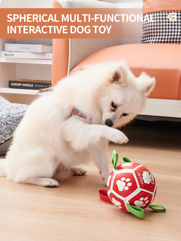 Tails Choice | Dog Soccer Ball