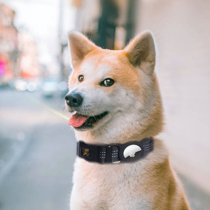 Tails Choice | Tracker Collar